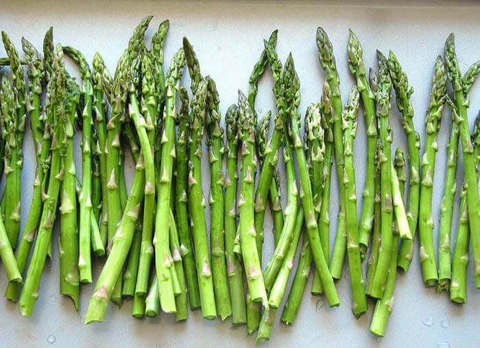 Спаржа (Asparagus) 